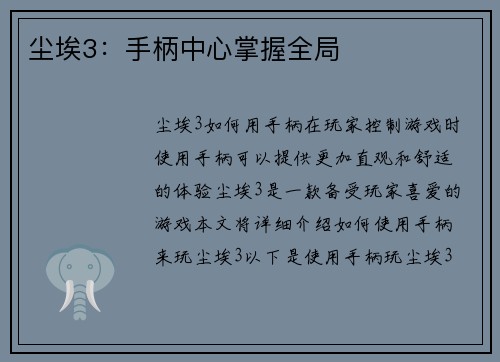 尘埃3：手柄中心掌握全局